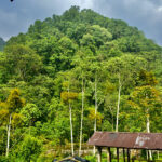 Nature camp 2023